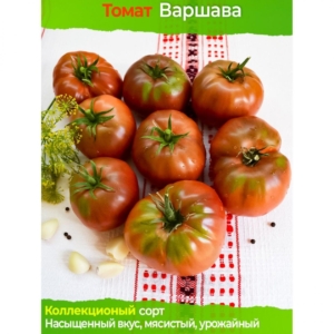 Томат Варшава