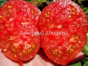 Томат Вечерний Алматы