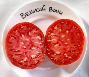 Томат Великий воин