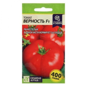 Томат Верность
