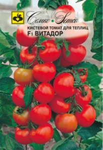 Томат Витадор