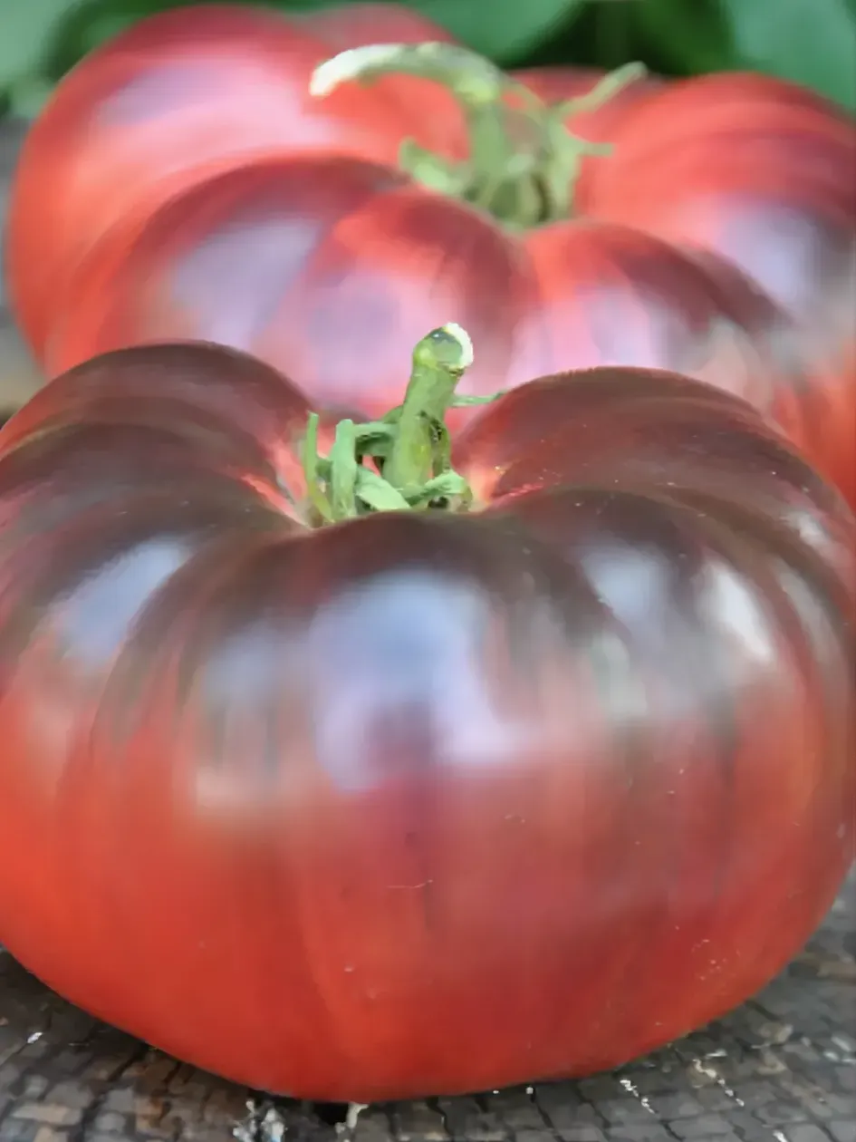 Томат Вкусный приз 2