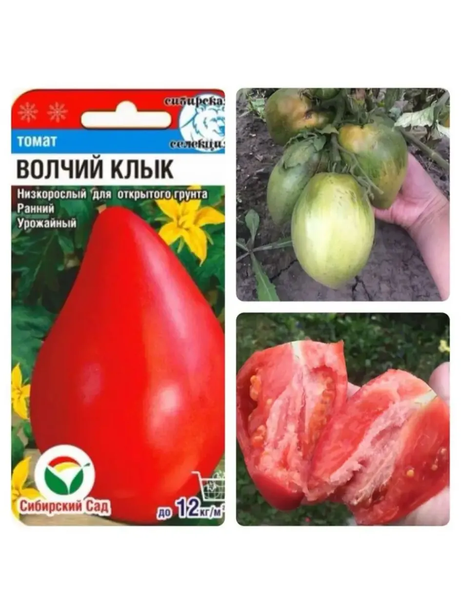 Томат Волчий клык