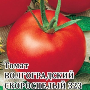Томат Волгоградский скороспелый 323