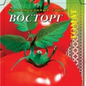 Томат Восторг