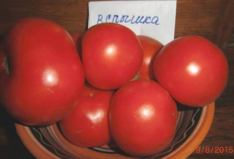 Томат Вспышка 3