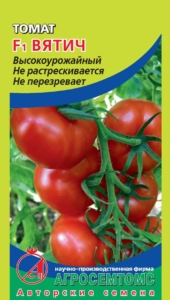 Томат Вятич