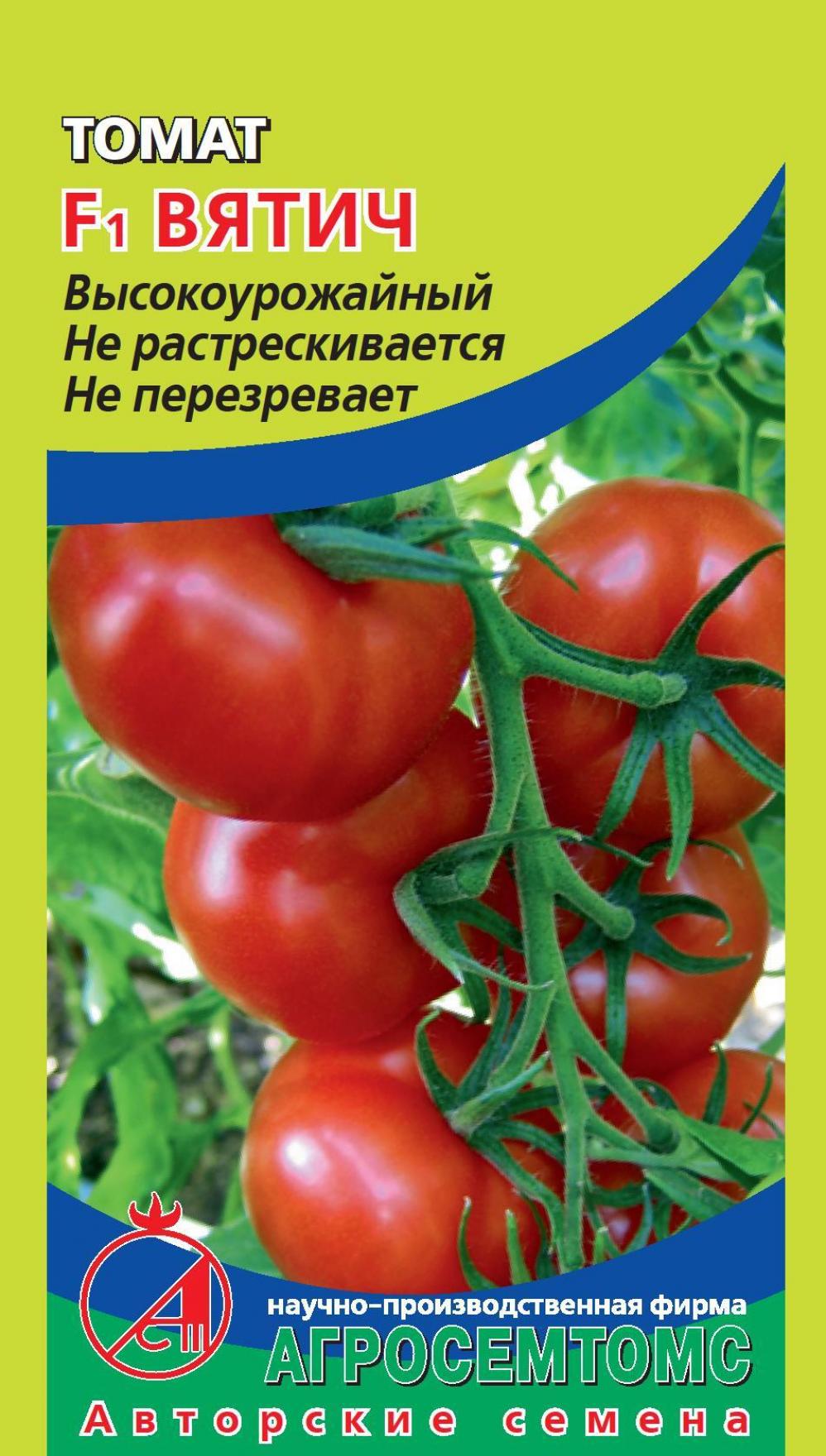 Томат Вятич