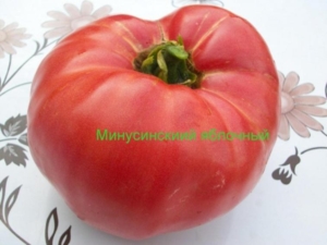 Томат Яблочный минусинский