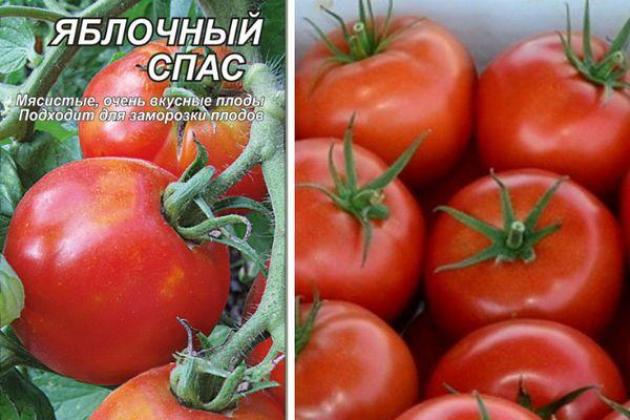 Томат Яблочный спас 2