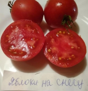 Томат Яблоки на снегу