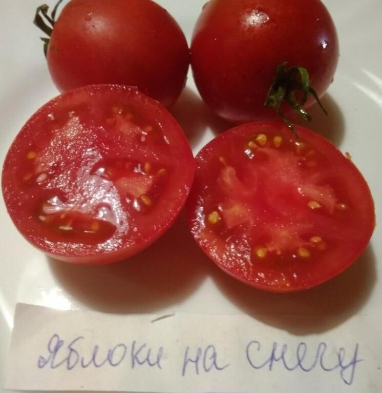 Томат Яблоки на снегу