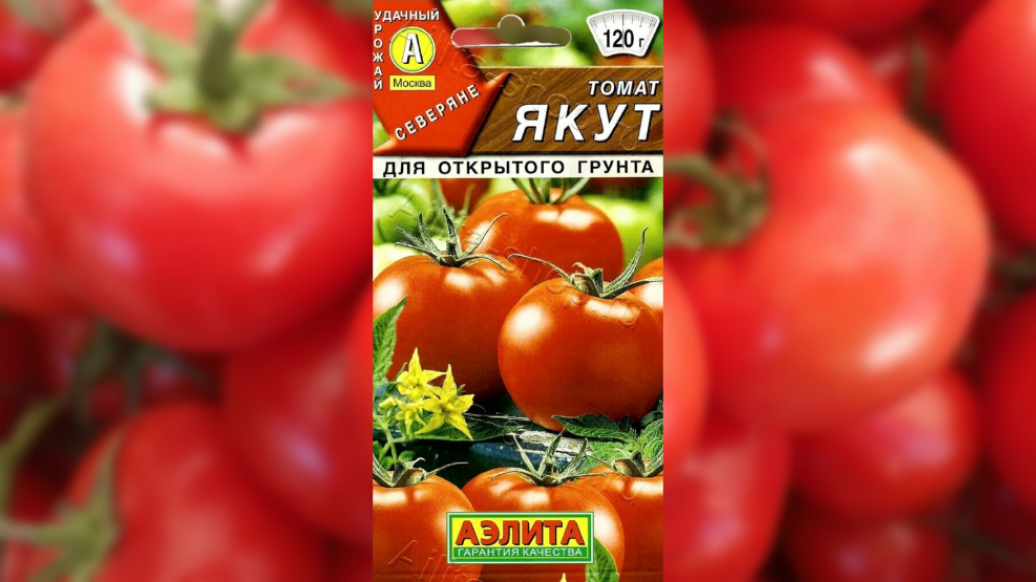 Томат Якут 2
