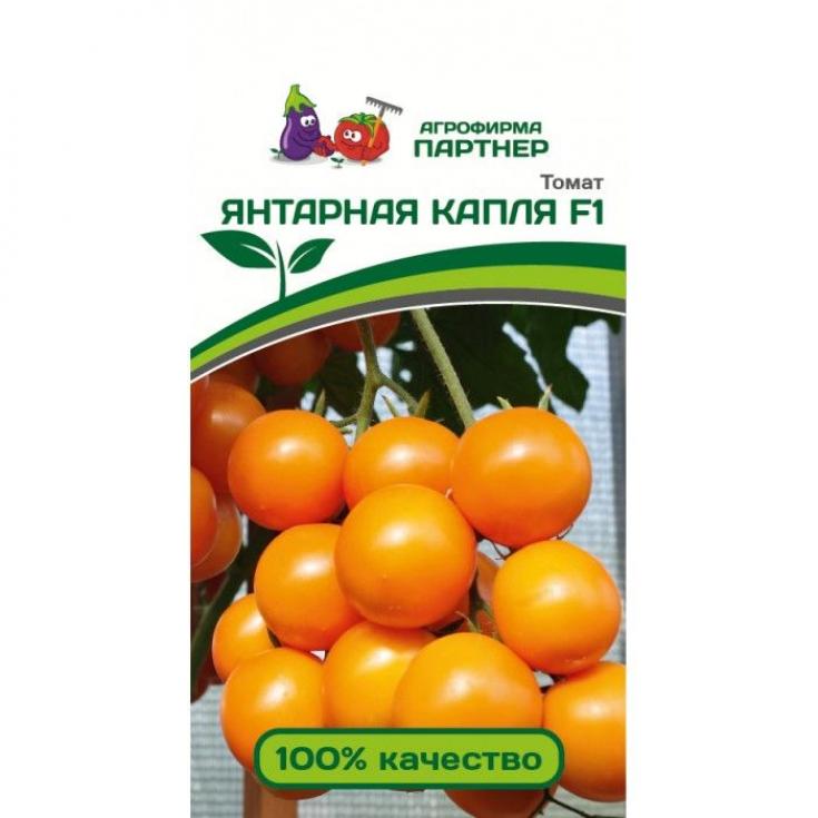 Томат Янтарная капля