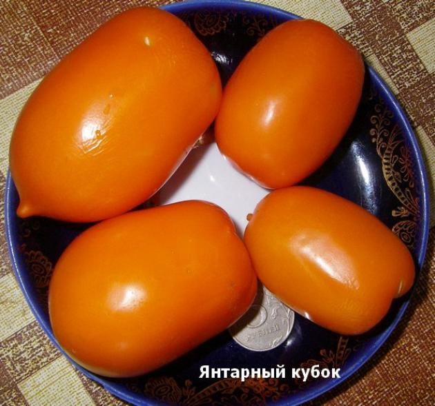 Томат Янтарный кубок 2