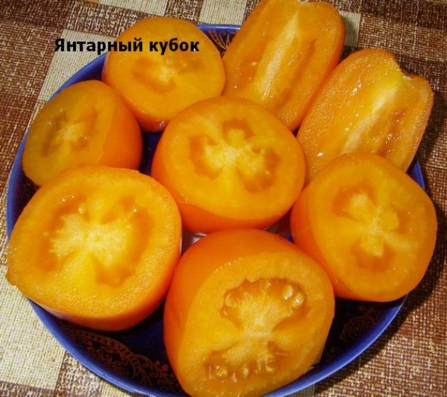 Томат Янтарный кубок 3