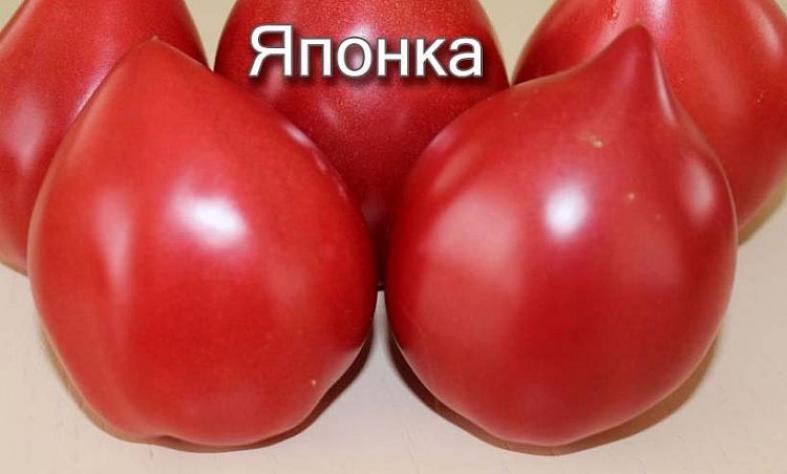 Томат Японка