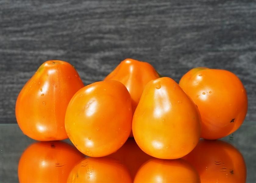 Томат Японский трюфель оранжевый 7