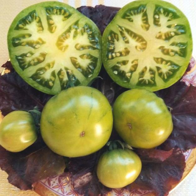 Томат Юннат 3