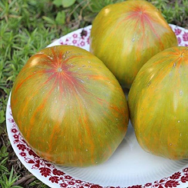 Томат Юннат