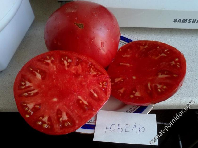Томат Ювель 2
