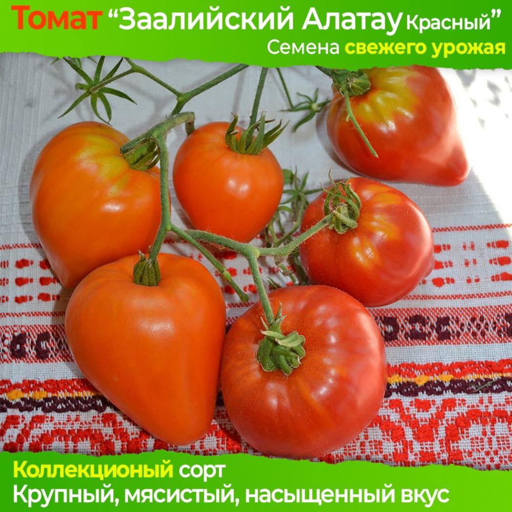Томат Заилийский Алатау красный 2