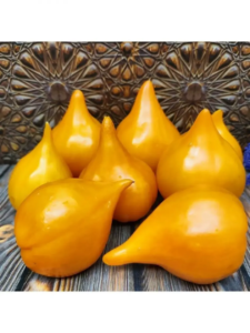 Томат Заилийский Алатау желтый