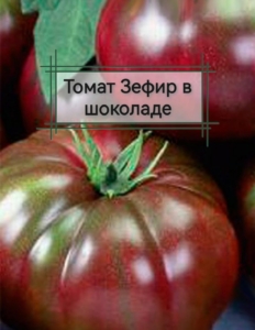 Томат Зефир в шоколаде