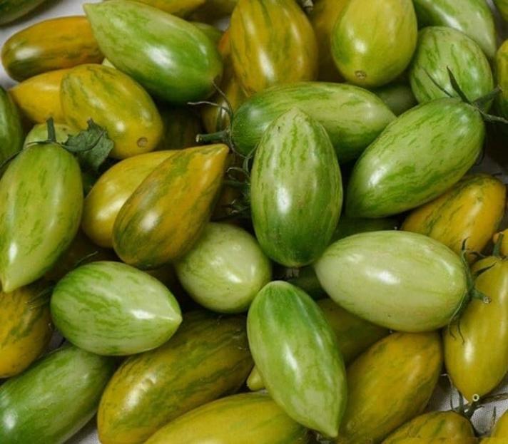 Томат Зеленый тигр 2