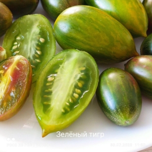 Томат Зеленый тигр