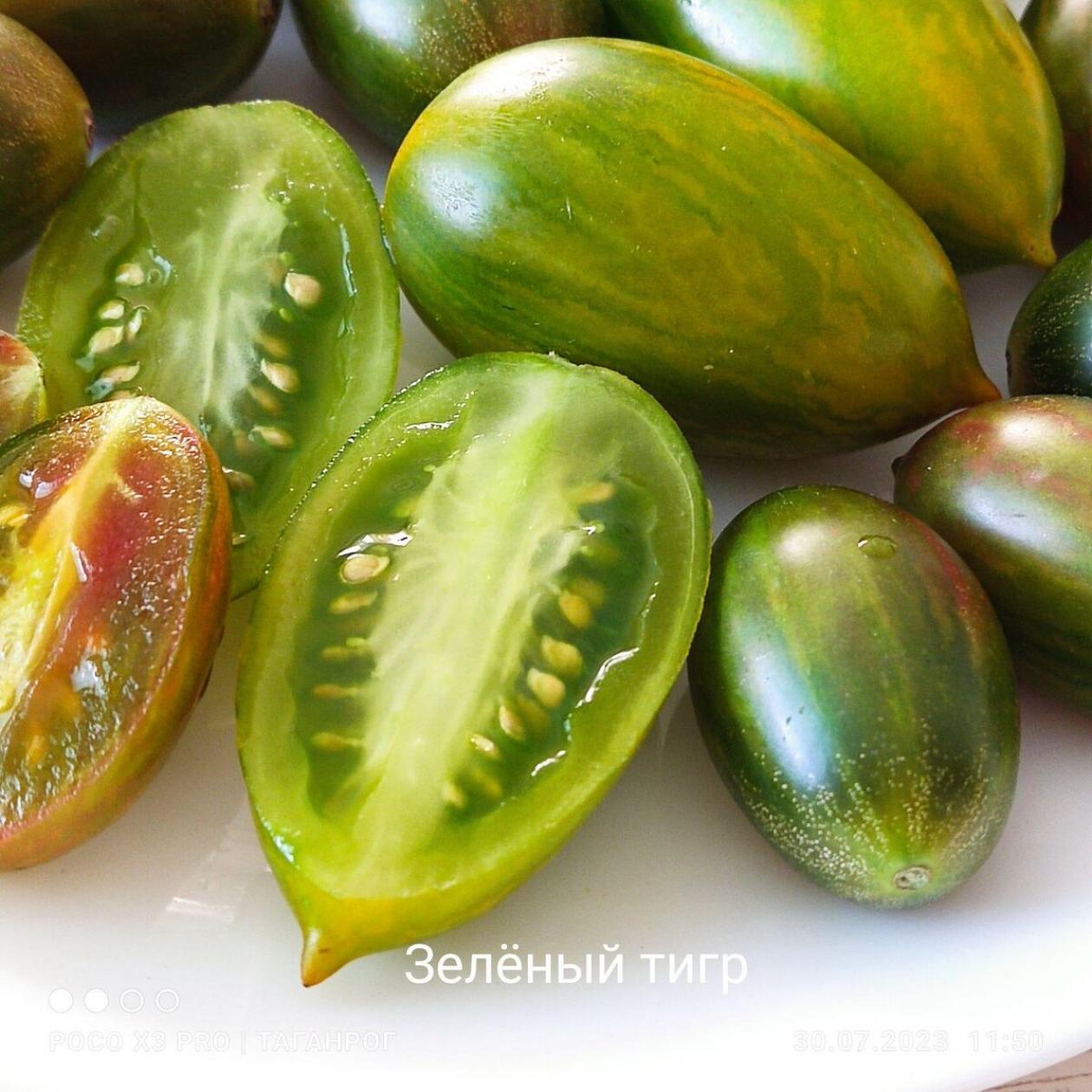 Томат Зеленый тигр