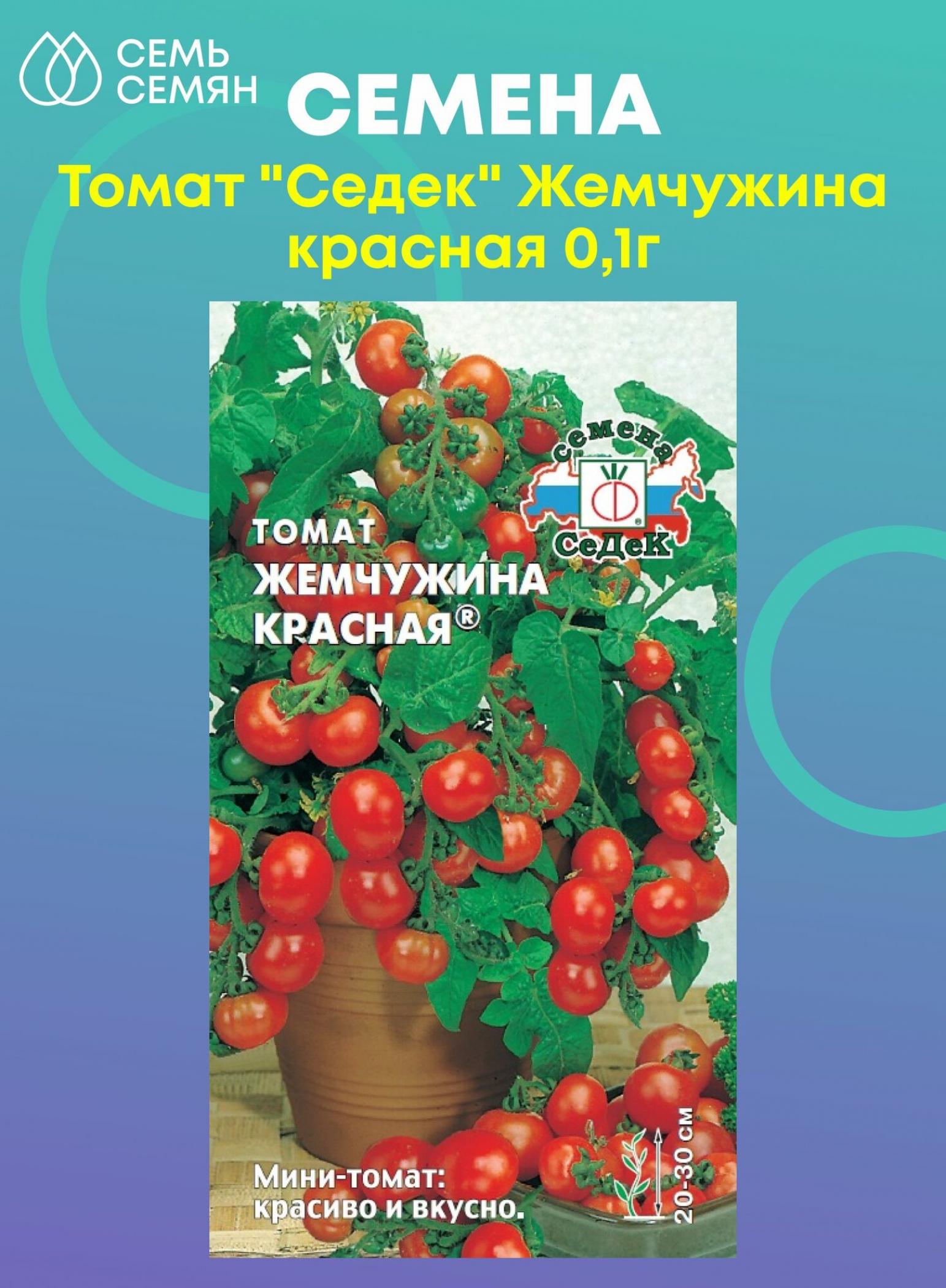 Томат Жемчужина красная