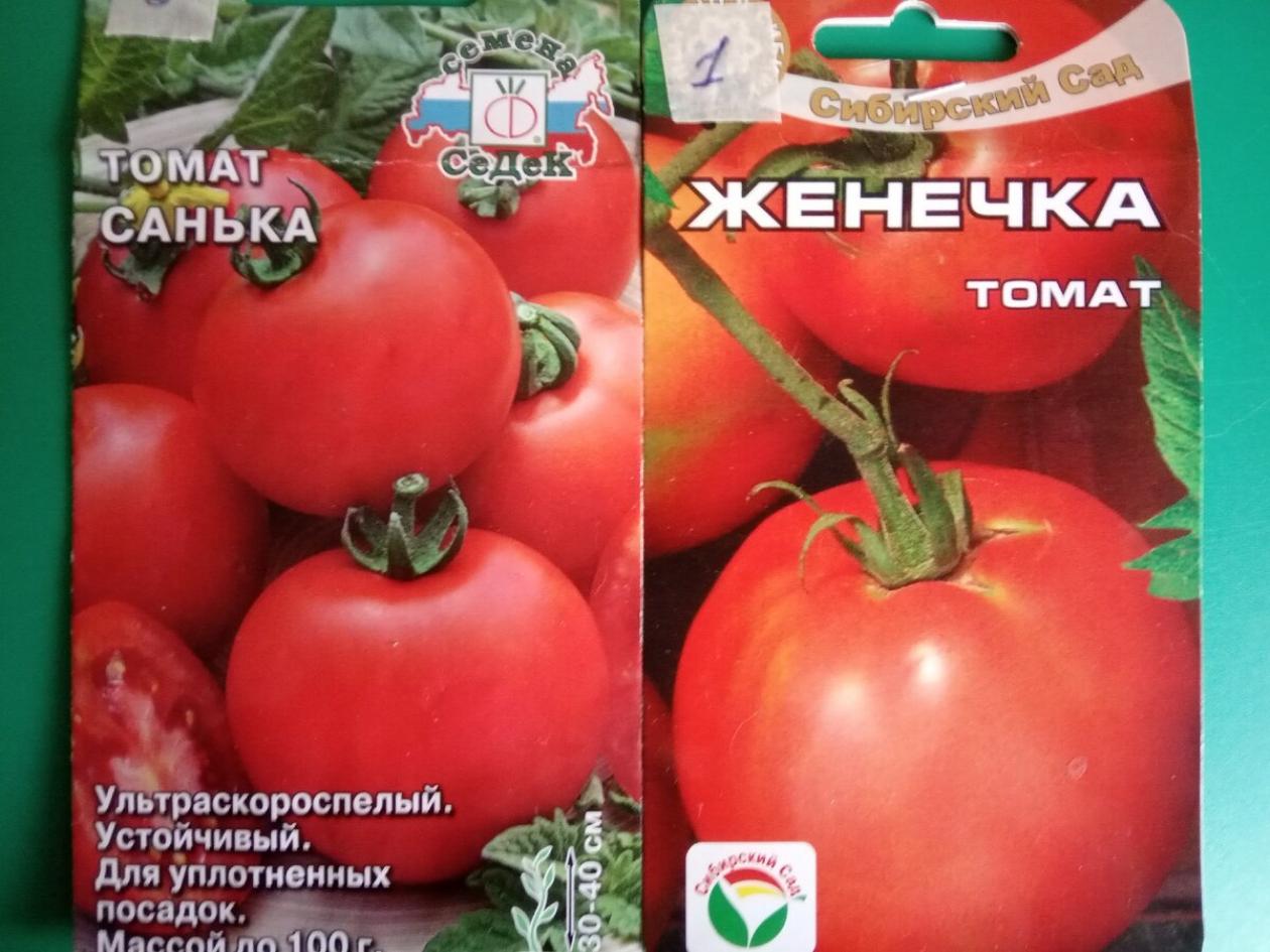 Томат Женечка 2