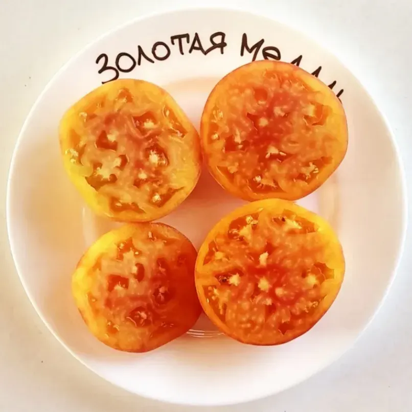 Томат Золотая медаль 3