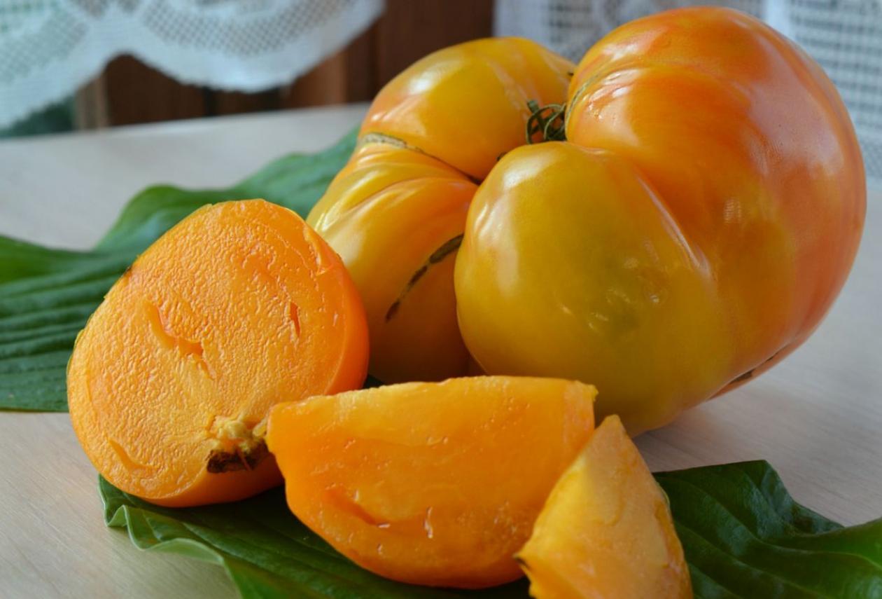 Томат Золотой ананас 3