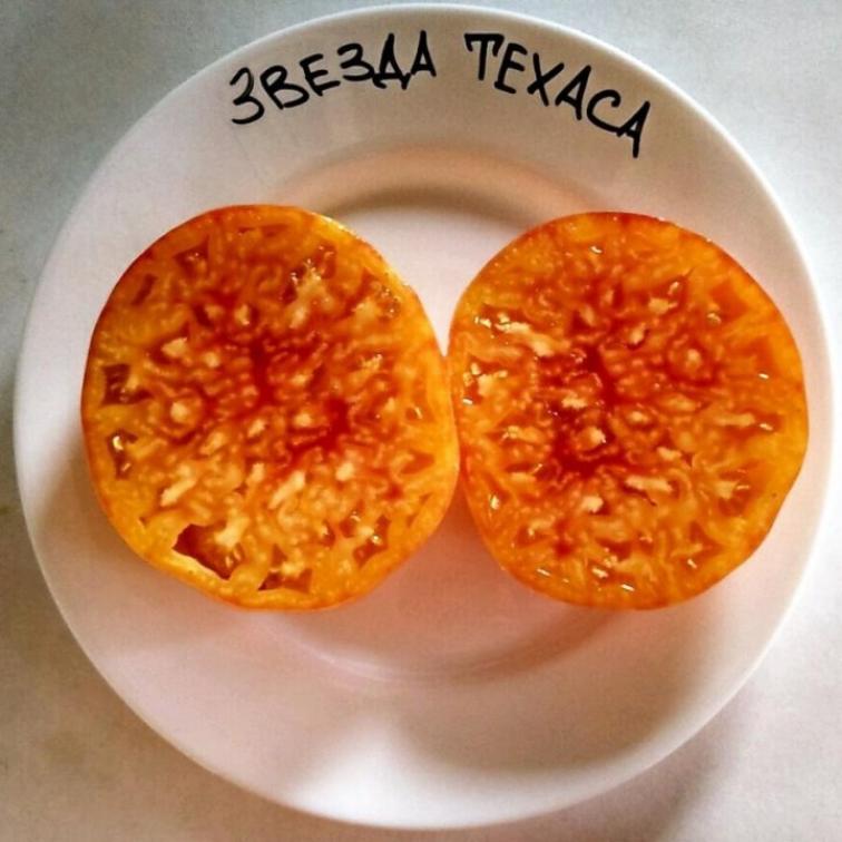 Томат Звезда Техаса 3