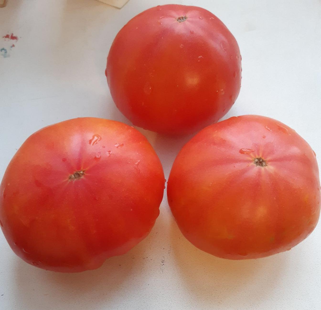 Томат Звёздная туманность 2