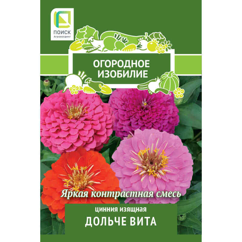 Цинния Дольче вита