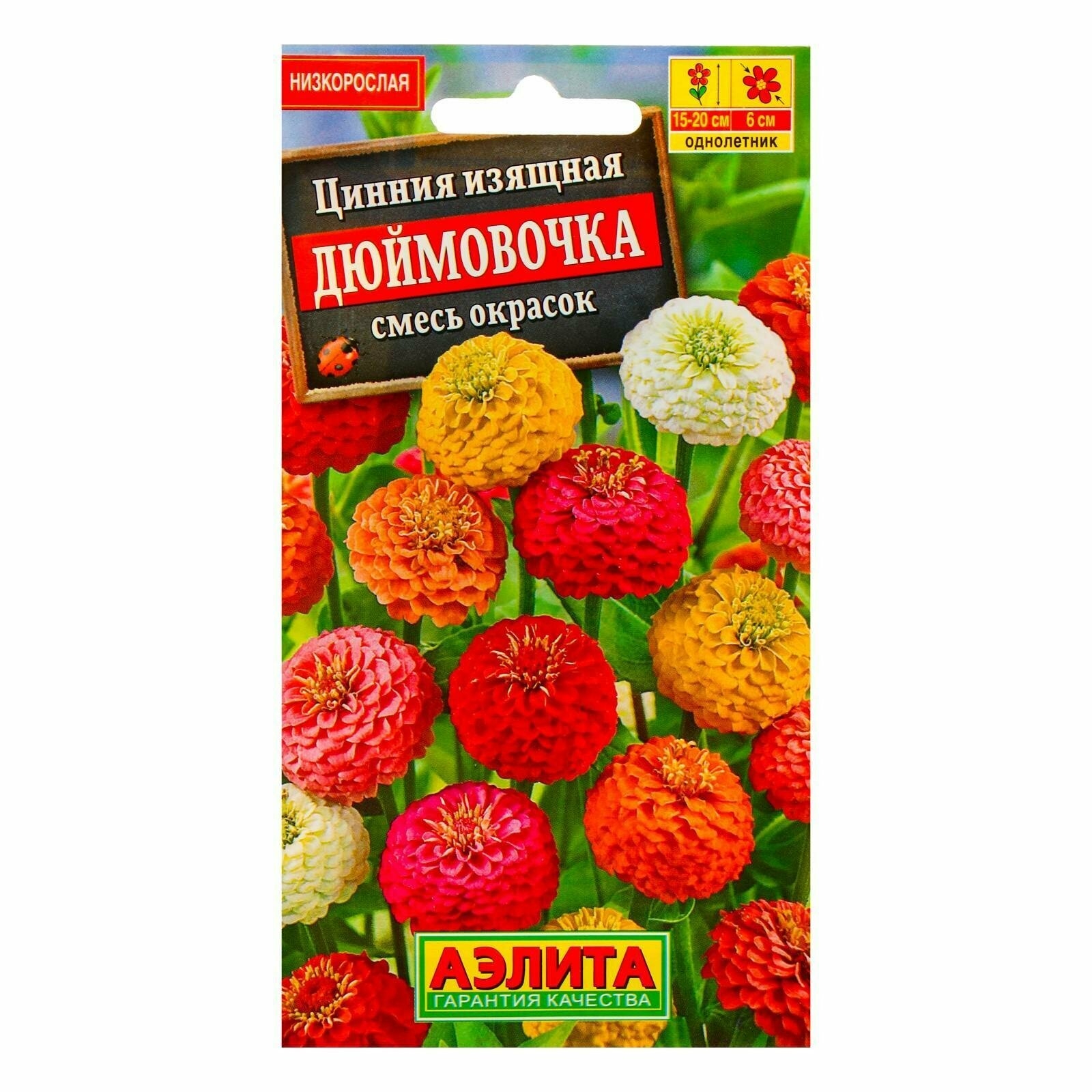 Цинния Дюймовочка 3