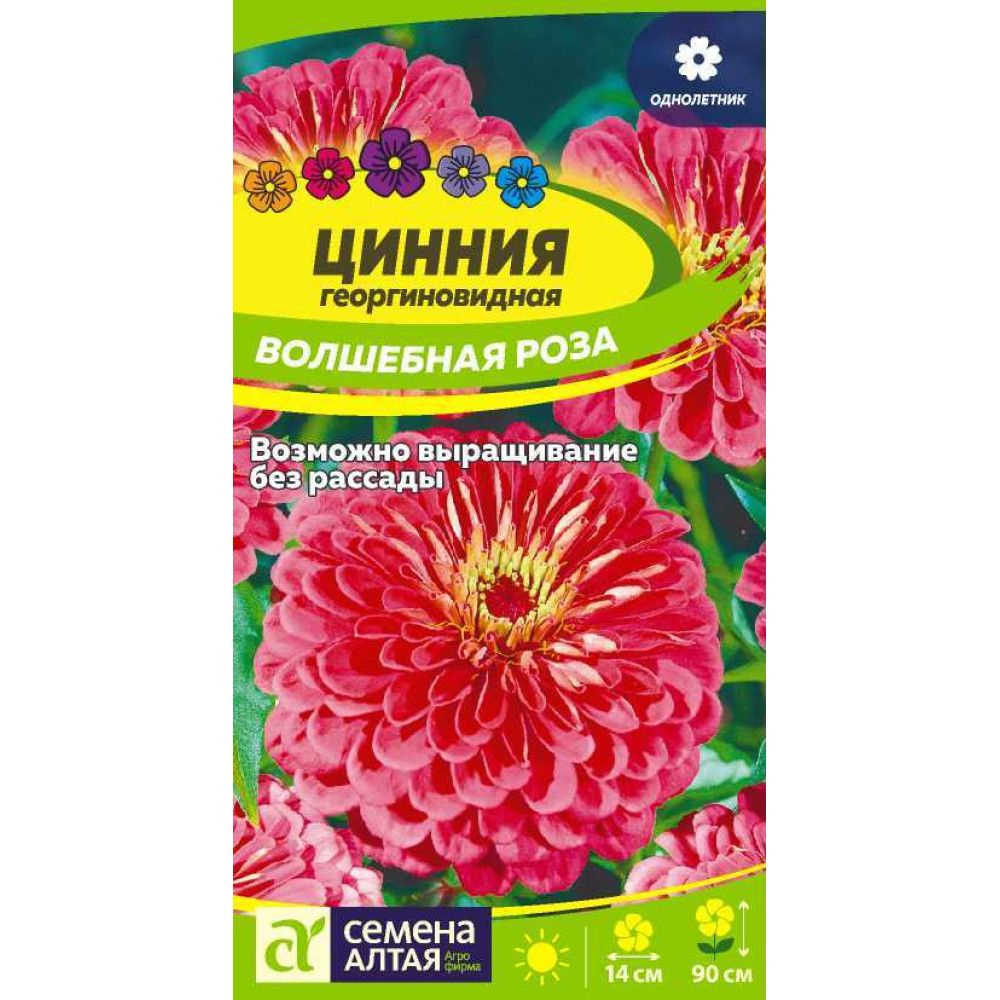 Цинния Волшебная роза 2