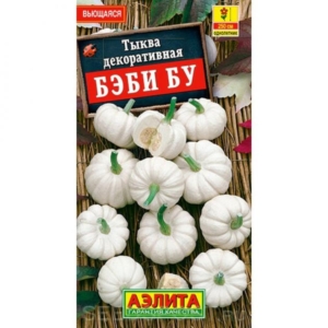 Тыква Бэби Бу