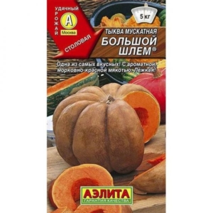 Тыква Большой шлем