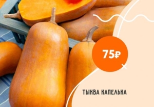 Тыква Капелька