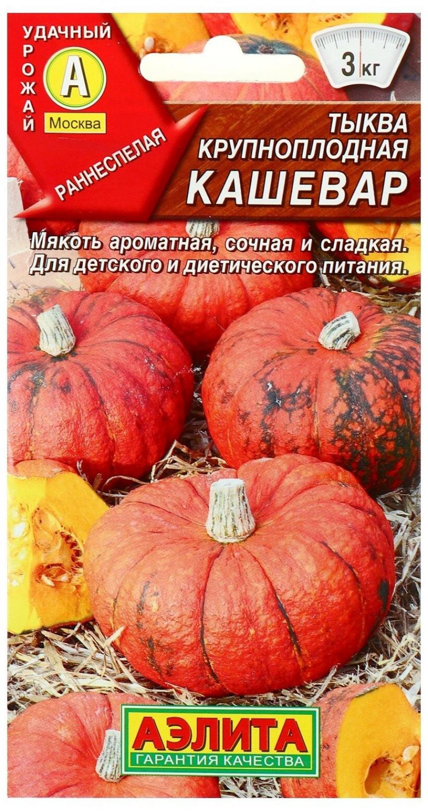Тыква Кашевар