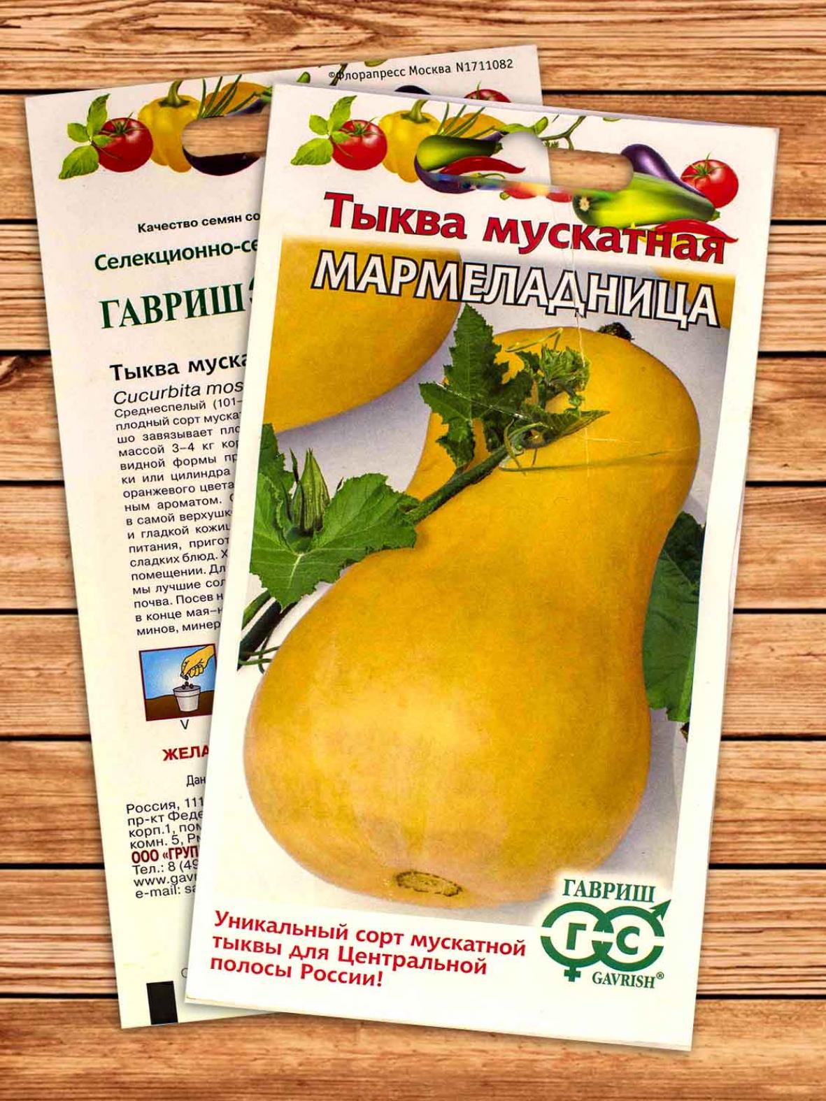 Тыква Мармеладница 2