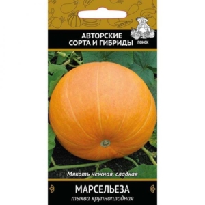 Тыква Марсельеза