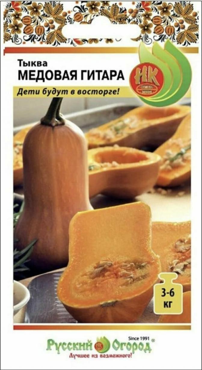 Тыква Медовая гитара 2