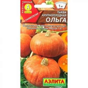 Тыква Ольга