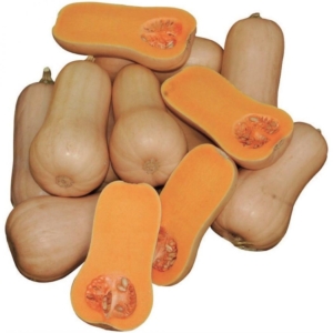 Тыква Плуто