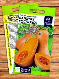 Тыква Важная Госпожа